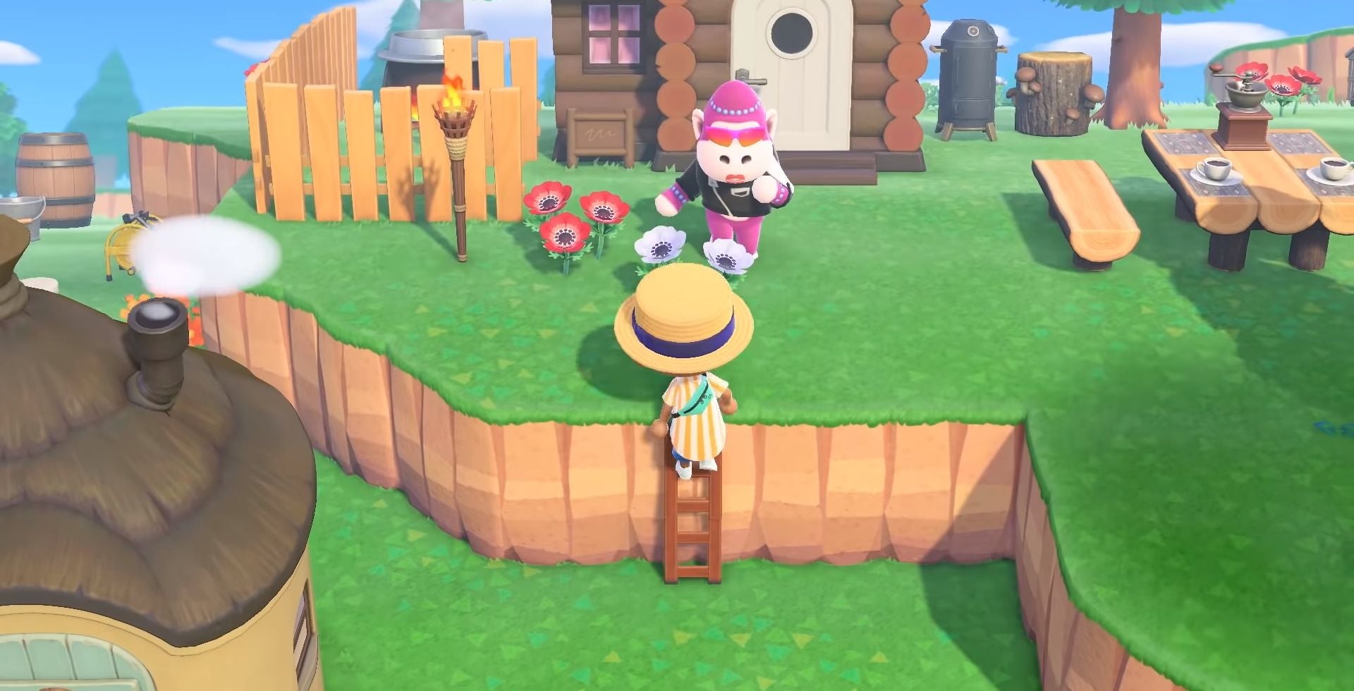 Animal Crossing Ladder unlocking How to get a ladder to climb cliff ledges in New Horizons
